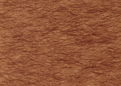 background textures paper. wood ackground textures