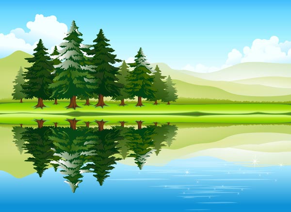 Forest landscapes vector illustrations