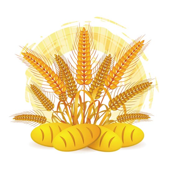 clipart of wheat - photo #47