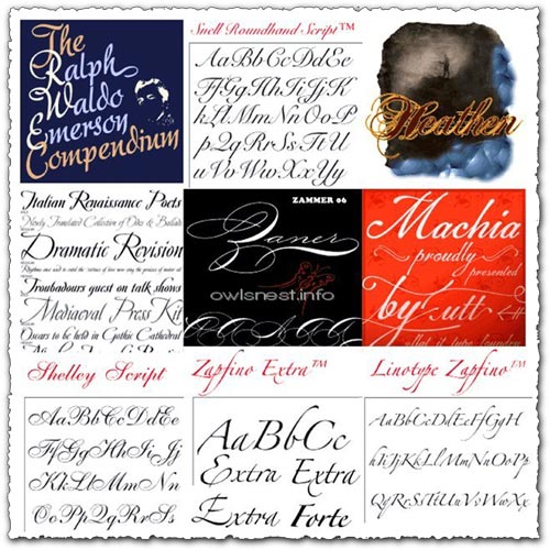 Typadelic elegant wedding fonts