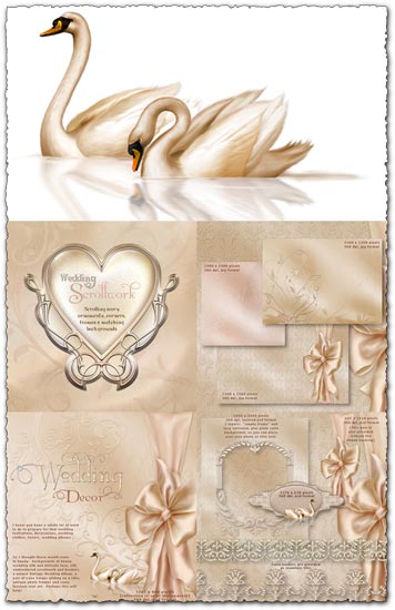 PSD wedding ornaments frames and backgrounds
