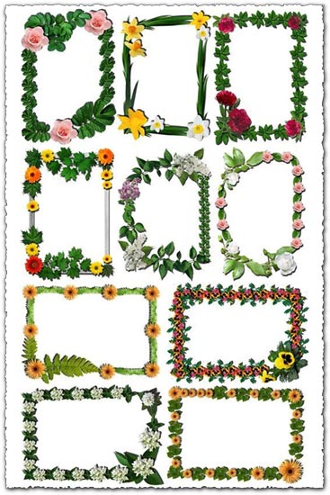 flower frame clipart. Png flower frames for