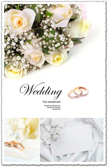 backgrounds for wedding cards. Wedding backgrounds for