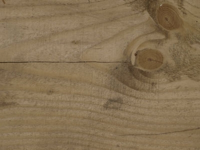 Wood texture