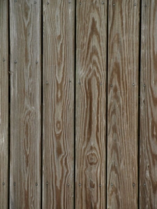 Wood texture