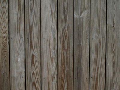 Wood texture