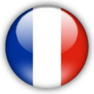 france flag