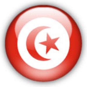 tunisia flag