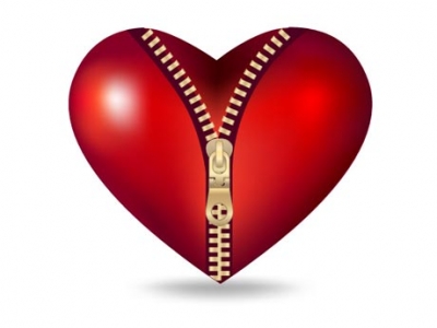 Vector hearts design