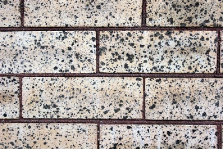 Brick texture