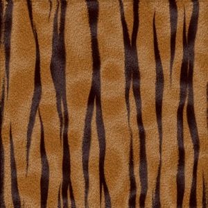 Tiger texture background