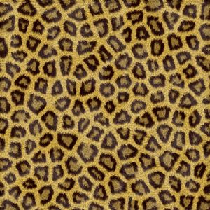 Leopard texture background