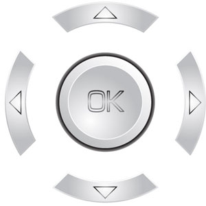 Audio navigator button