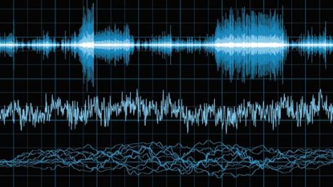 Audio waves and signals vector