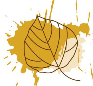 Autumn leaves vector design