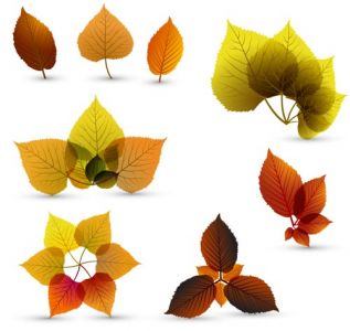 Autumn vector banner design