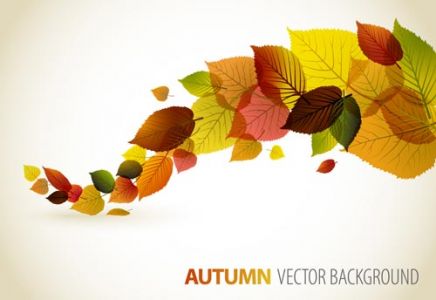 Autumn vector banner model