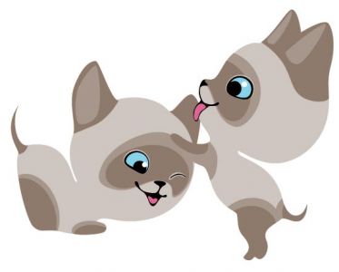 Baby cats vector cartoons