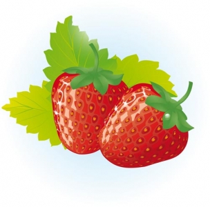 Berry design vector