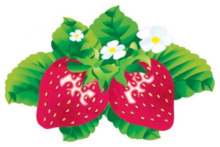 Berry design vector