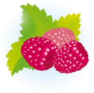 Berry design template