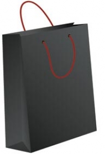 Black shopping bag vector