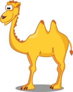 Camel vector