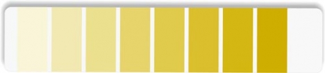 CMYK Pantone palette design