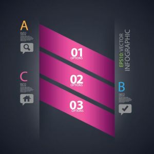 Colored option labels infographics vector