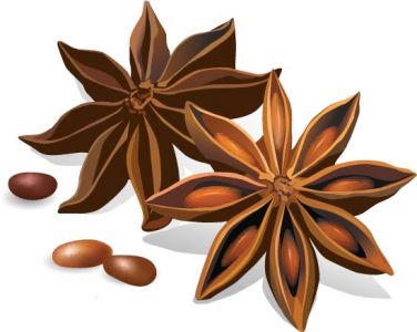 Star rice spice vector material