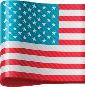 American vector flag label