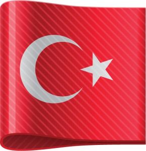 Turkey vector flag label