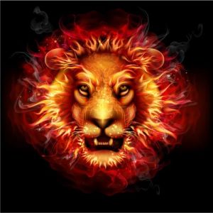 Creative fire vector effects