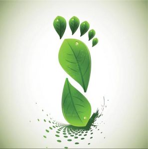 Creative green leafs template