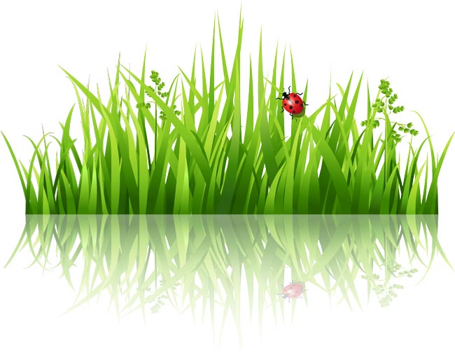 Download Decorative grass borders vectors