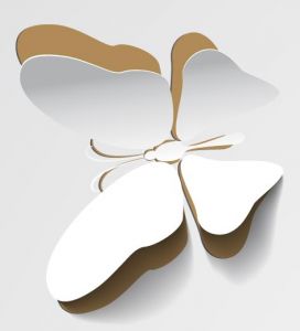 Decorative paper butterfly vectors