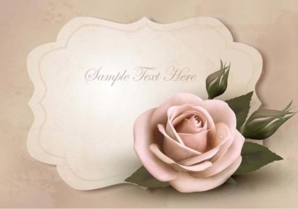 Decorative wedding cards with rose vector