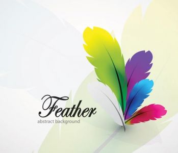 Delicate feathers vector with different colors