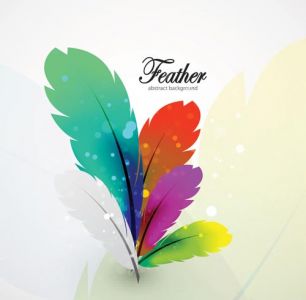 Delicate feathers vector with different colors