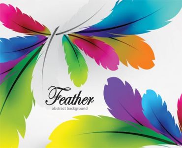 Delicate feathers vector with different colors