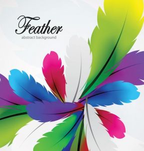 Delicate feathers vector with different colors