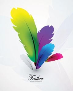 Delicate feathers vector with different colors