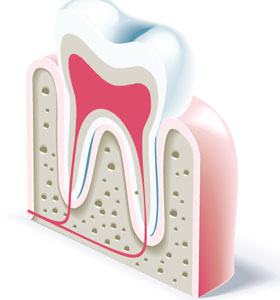 Dental icon vector objects Dental icon vector objects