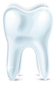 Dental icon vector objects Dental icon vector objects