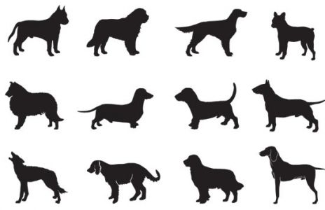 Dog silhouettes shapes vector
