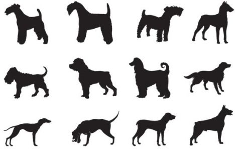 Dog silhouettes shapes vector