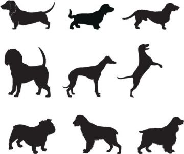 Dog silhouettes shapes vector