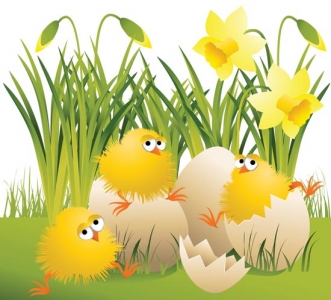 Easter chickens vector template