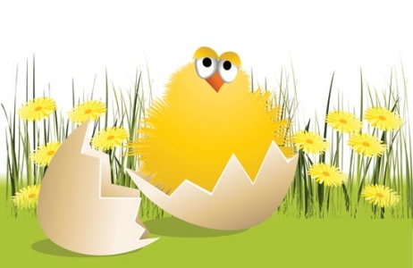 Easter chickens vector template