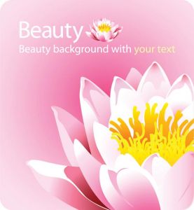 Elegant floral shapes vector backgrounds